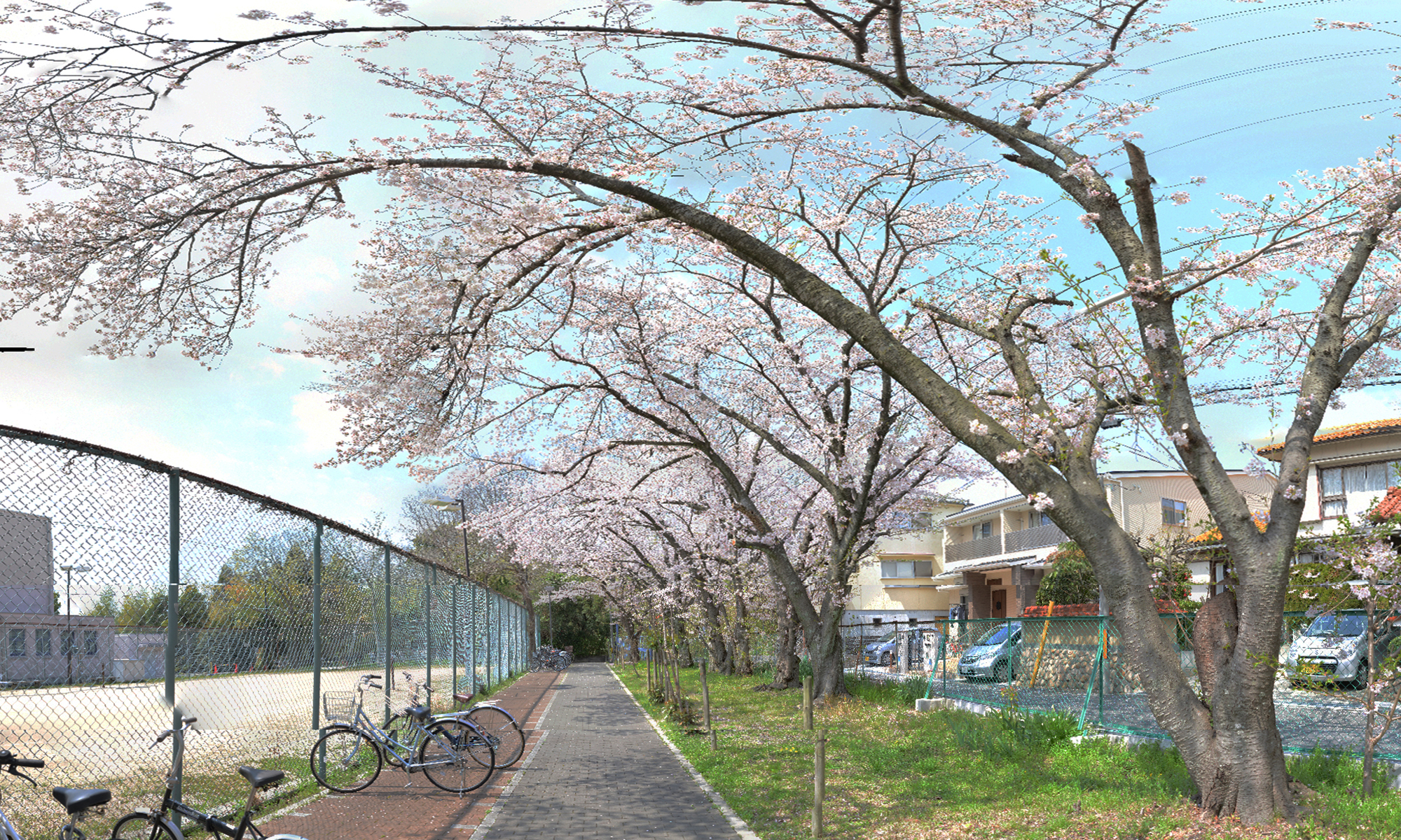 春の景色 Spring Scenery 日本データ制作所 Japan Data Production